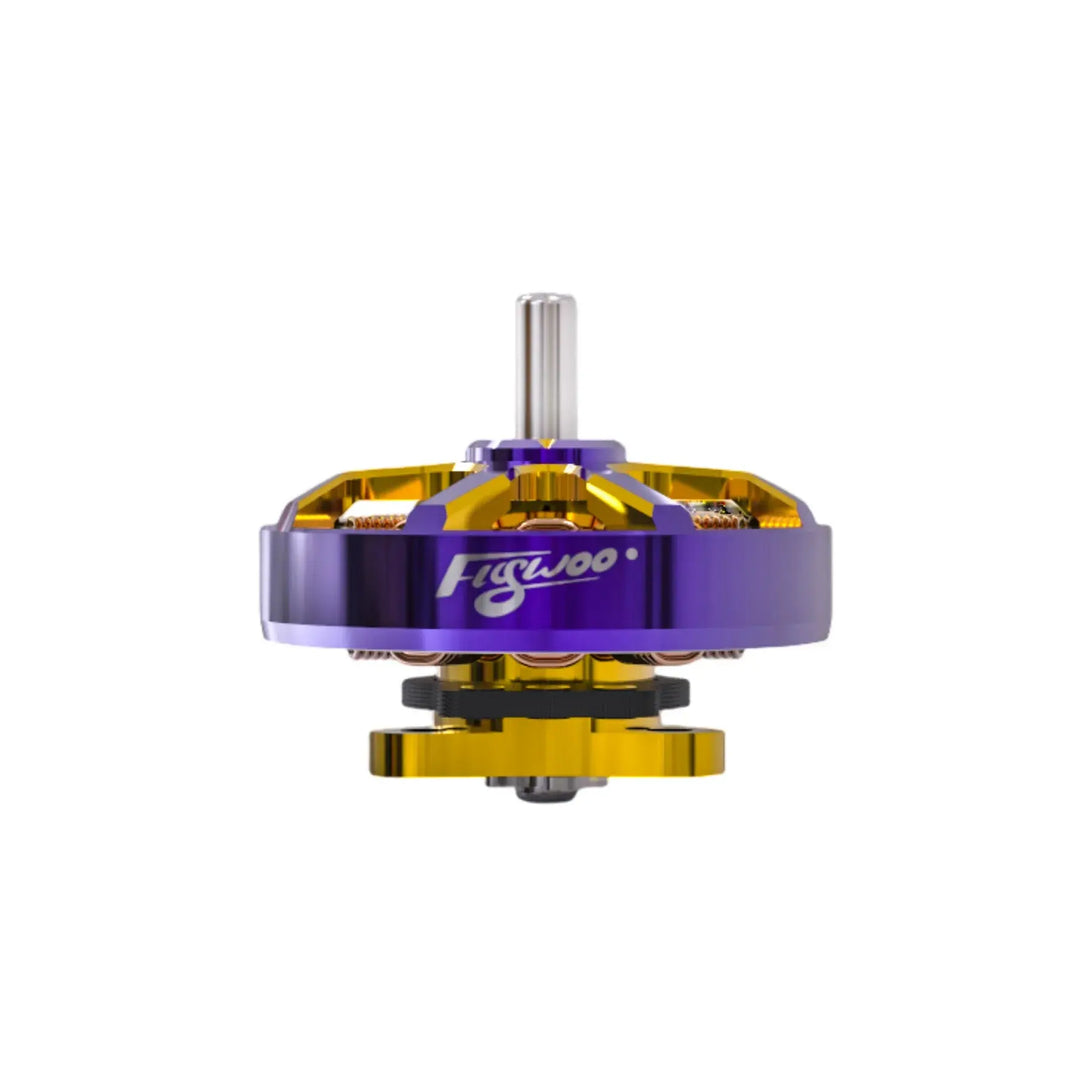 Flywoo ROBO 1002 19800KV / 23500KV Flywoo