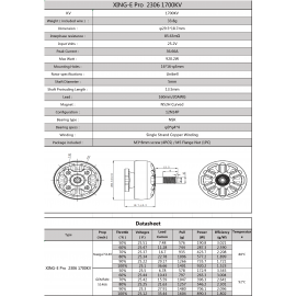 XING-E Pro 2306 2-6S Flight 