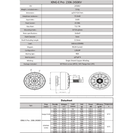 XING-E Pro 2306 2-6S Flight 